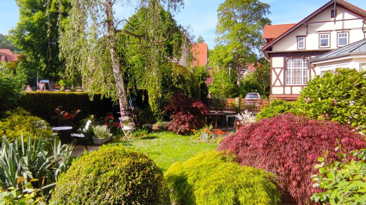 Fewo Am Wetzstein Wernigerode Eksteriør billede